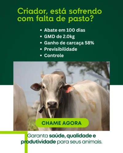 Seu gado gordo em 90 dias!