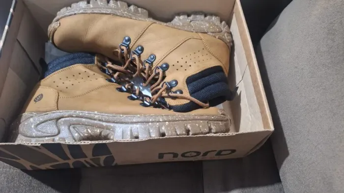 Bota
