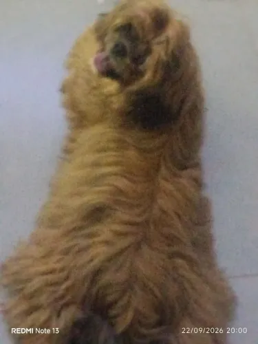 Juba