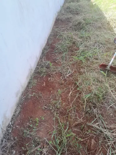 Rossagem ,plantacao de grama e limpeza  em geral 