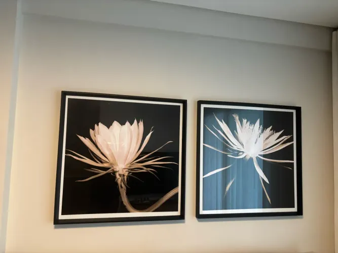 Quadros decorativos modernos