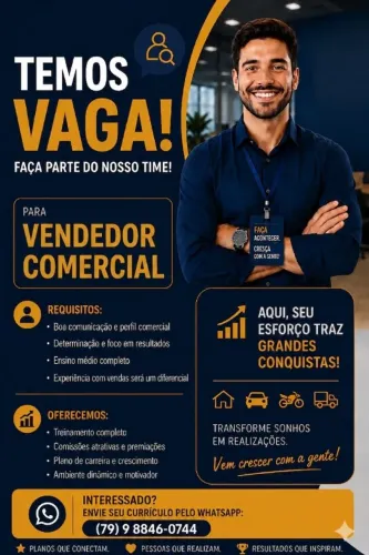 Vendedor Interno 