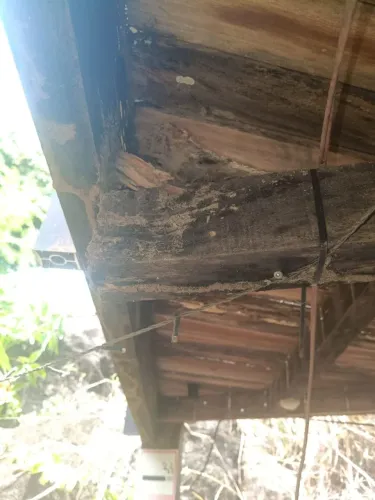 Dedetização e Descupinização