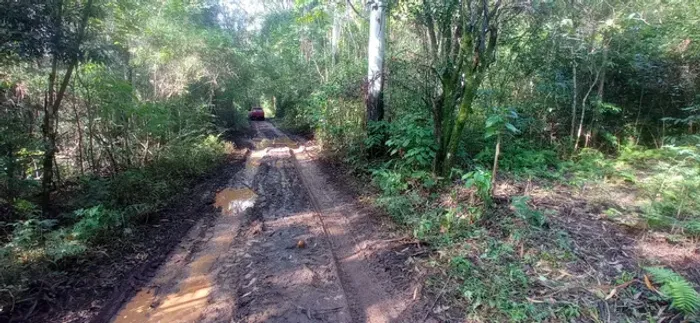 SÍTIO À VENDA - 13 HECTARES - TAQUARA/RS