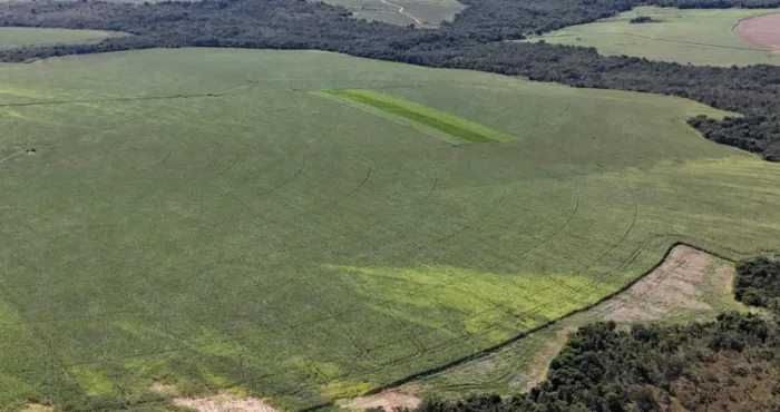 Excelente fazenda no Goiás 