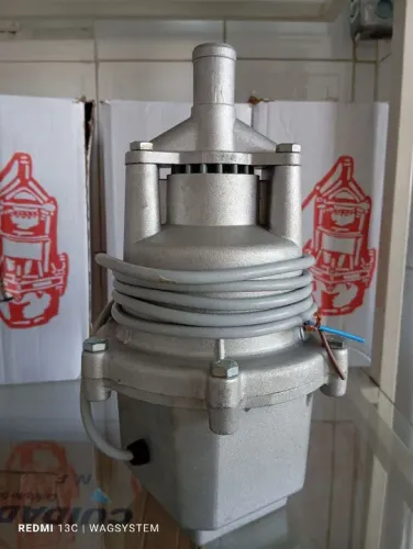 Bomba submersas 110v