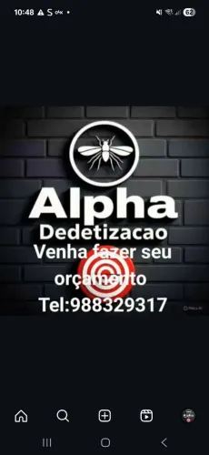 Detetizaçao de pragas e insetos 