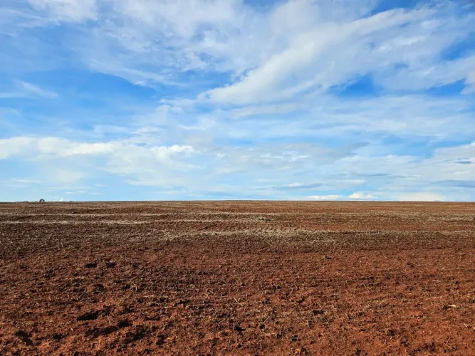 R$130 Milhões         Fazenda de 6.402 ha em Nova Mutum-MT