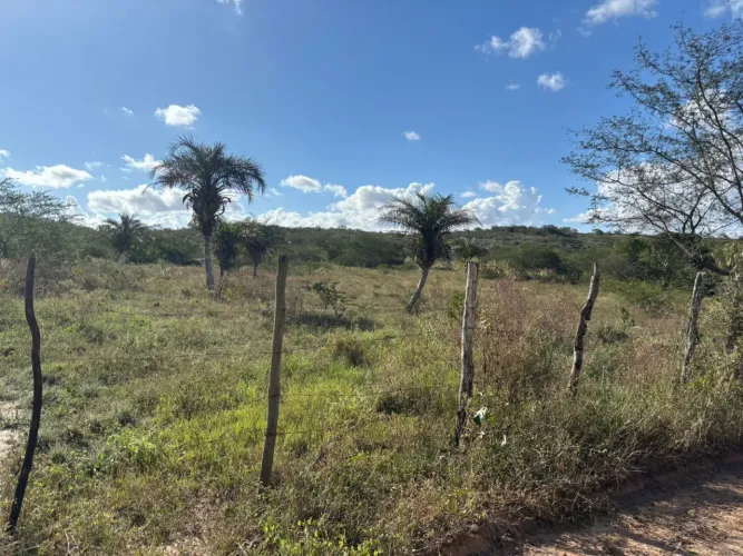 Oportunidade localização privilegiada zona rural de Irará 