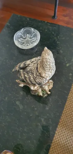 Decoração Coruja e Gavião.