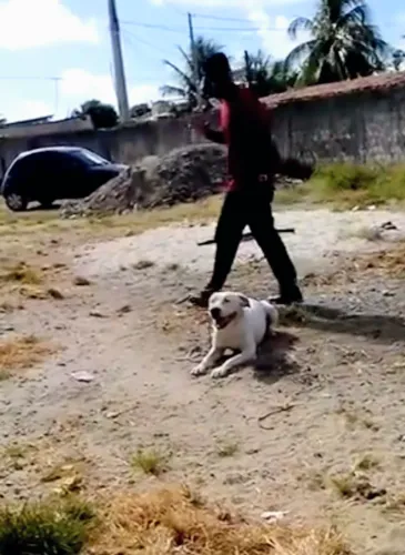 Adestrador 