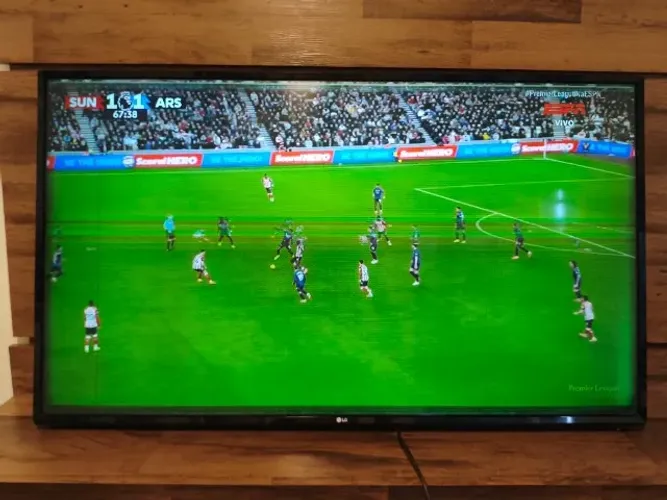 TV LG 49'' com defeito - Retirada de peças
