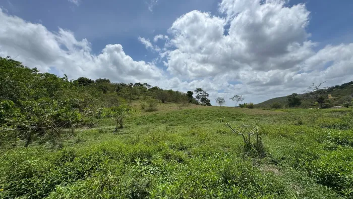 Terra perto da pista  c / água para irrigar e luz 