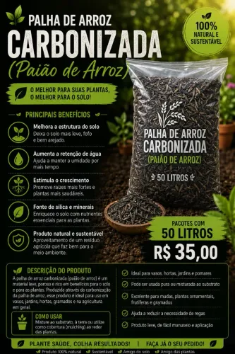 Palha de arroz Carbonizada (paião de arroz) 50 litros R$35,00