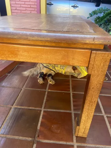 Mesa de Madeira Maciça Rústica