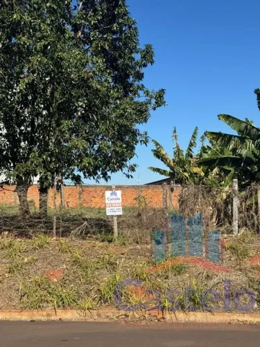 Terreno para Venda em Umuarama / PR no bairro Jardim Europa