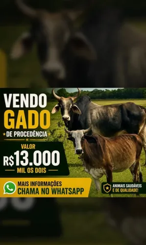 Gado