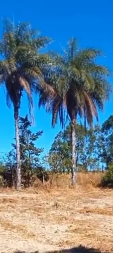 Chácara a venda preferência pra que conhece jardim 2 fazenda manga ,café sem troco 