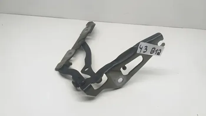 Dobradiça T/d Tampa Traseira Bmw 318i 2011  * (42b12)