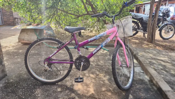 Bicicleta Com Cesta Aro 24