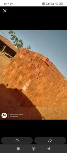 Tijolos de primeira qualidade