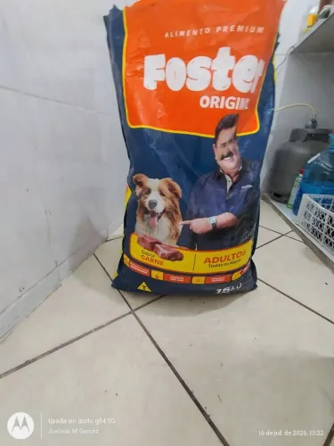Ração Foster pra cachorro porte médio