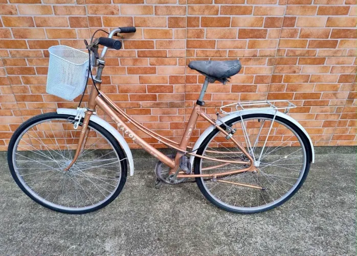 Bicicleta Ceci Aro 26