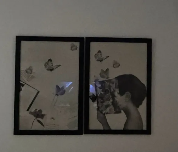 Dupla Quadros Decorativos 45x65 ( cada) Borboletas Preto e Branco - Moldura Preta