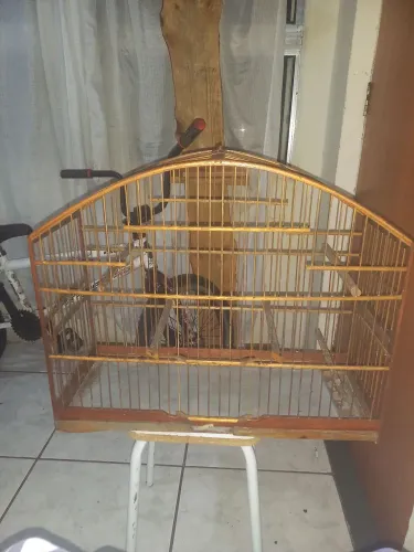 Vendo gaiola
