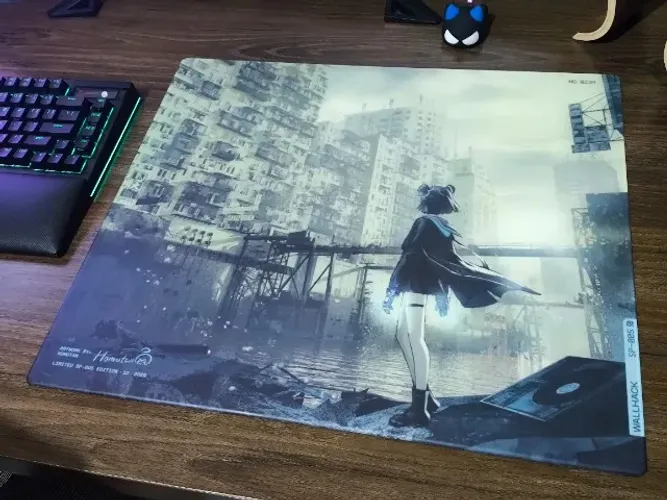 Mousepad Wallhack Desolate Yume SP005 Limited Edition #0239