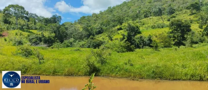 Fazenda à Venda em Minaçu - Goiás | 80 Alqueires para Pecuária | Completa