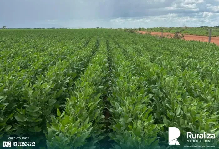 395 ALQUEIRES | 675 HA DE LAVOURA | 12 ANOS DE PRODUÇÃO