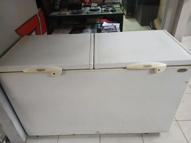 Freezer Horizontal Fricon