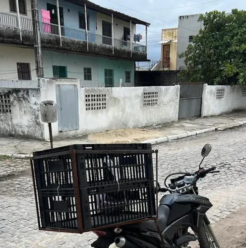 Caixote baú pra moto delivery 