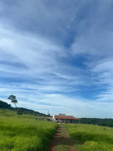 Excelente fazenda a venda Próximo a Capital Palmas-To