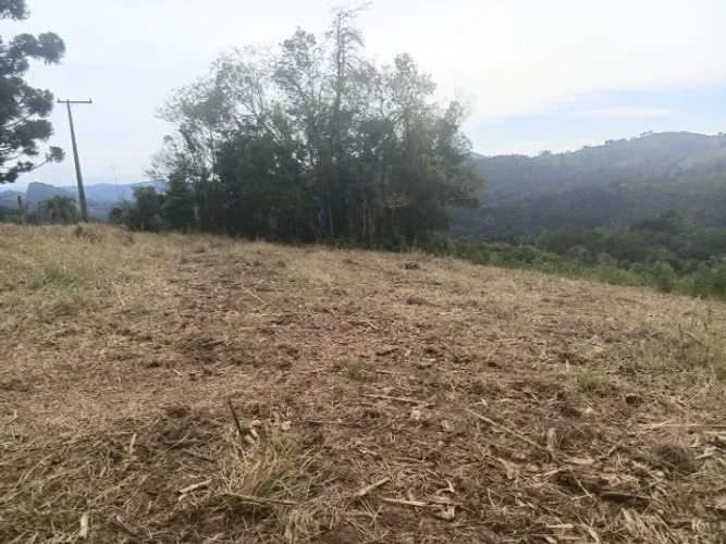VENDO LINDO TERRENO PARA CHACARA- /Conceição Campo Magro.