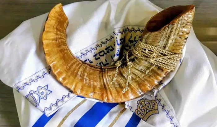 Vendo Shofar de Carneiro 