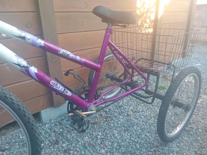Triciclo