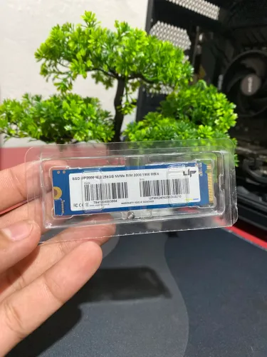 M.2 256GB