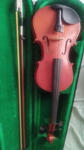 Violino