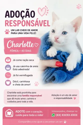Adoção responsável de lindos gatinhos 