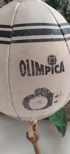 Teto Solo em couro legítimo! 
