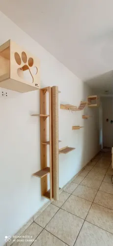 Kit completo de arranhador para gatos