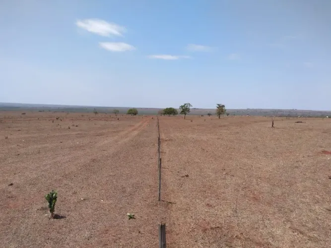 FAZENDA 1.531 HA | 632 ALQUEIRES PAULISTAS | DUPLA APTIDÃO | HISTÓRICO DE SOJA | CAMAPUÃ-M