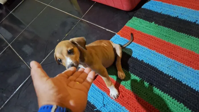 Doação responsável 