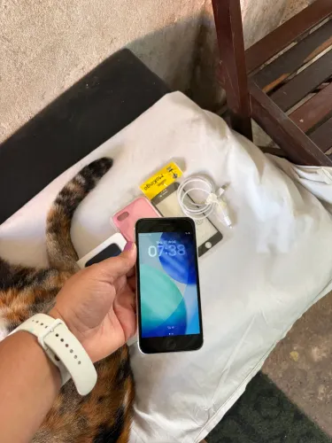 Celular