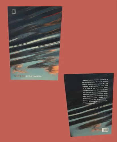 Livro tudo é rio