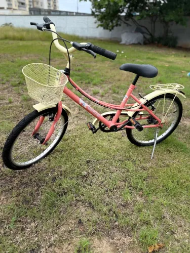 Bicicleta retro