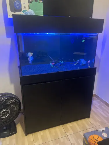 Aquário 200L + 150L + Overflow + Móvel impermeável 