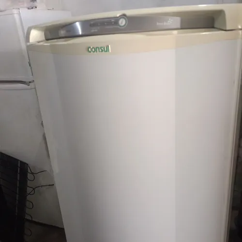Cônsul Facilite Frost Free 300 L